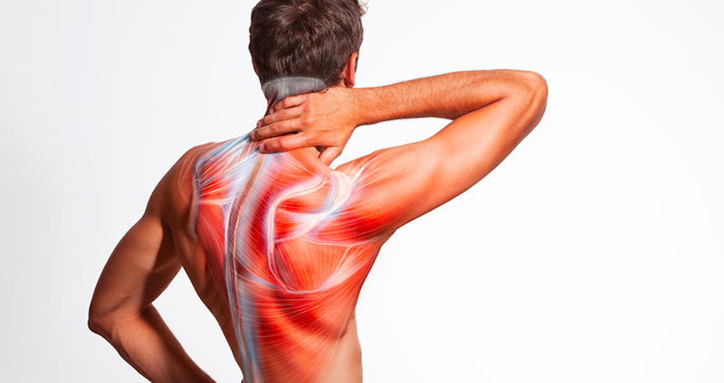 muscle soreness and stiffness
